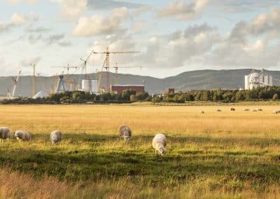 Industri og jordbruk i Verdal