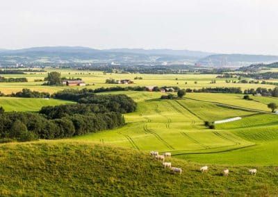 Utsikt over Verdal, grønne enger og jordbruk