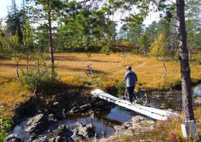 Fantastiske turmuligheter i skog og fjell i Verdal