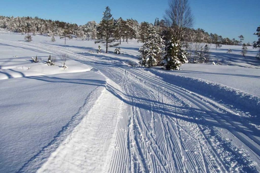 skiløyper Verdal kommune