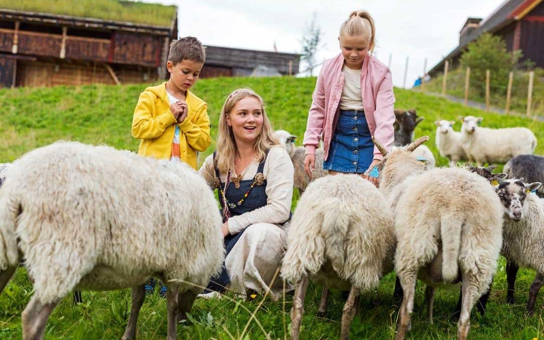 Stiklestad Nasjonale Kultursenter