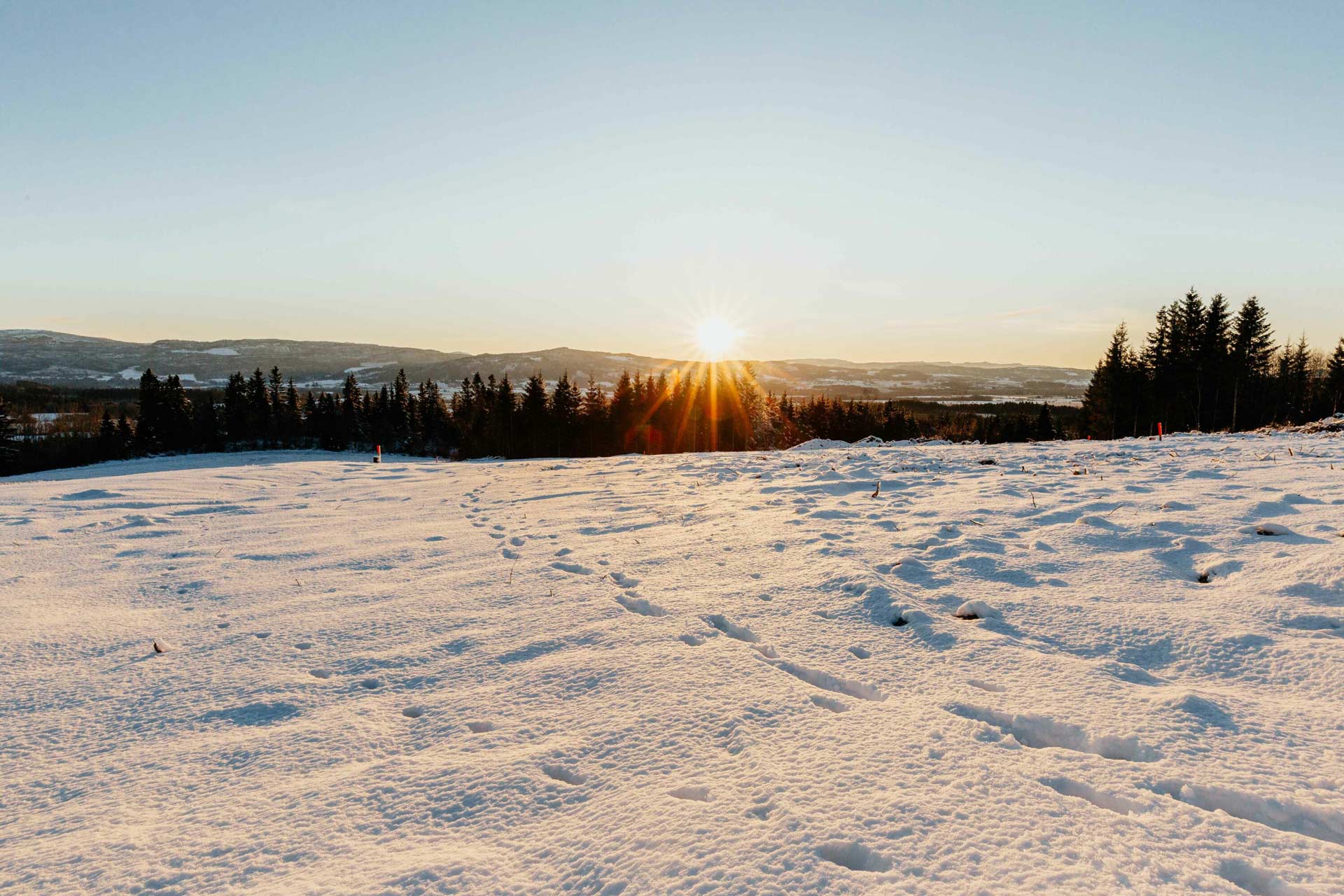 Vinter fra Hallemsåsen